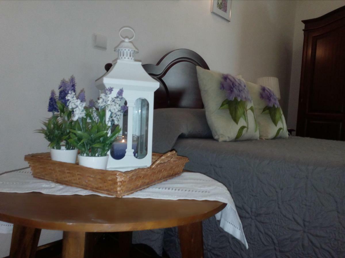 Ponta Delgada Apartamento Couto מראה חיצוני תמונה