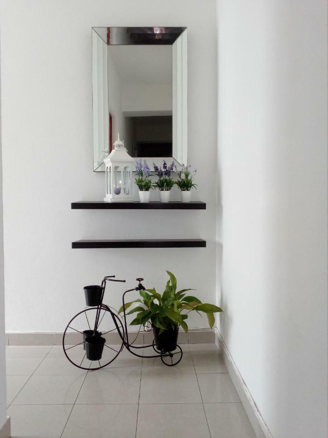 Ponta Delgada Apartamento Couto מראה חיצוני תמונה